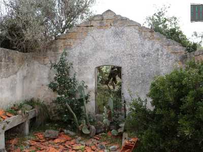 Nel �cortile� una fila di mangiatoie conferma la destinazione dell�immobile a stalla 